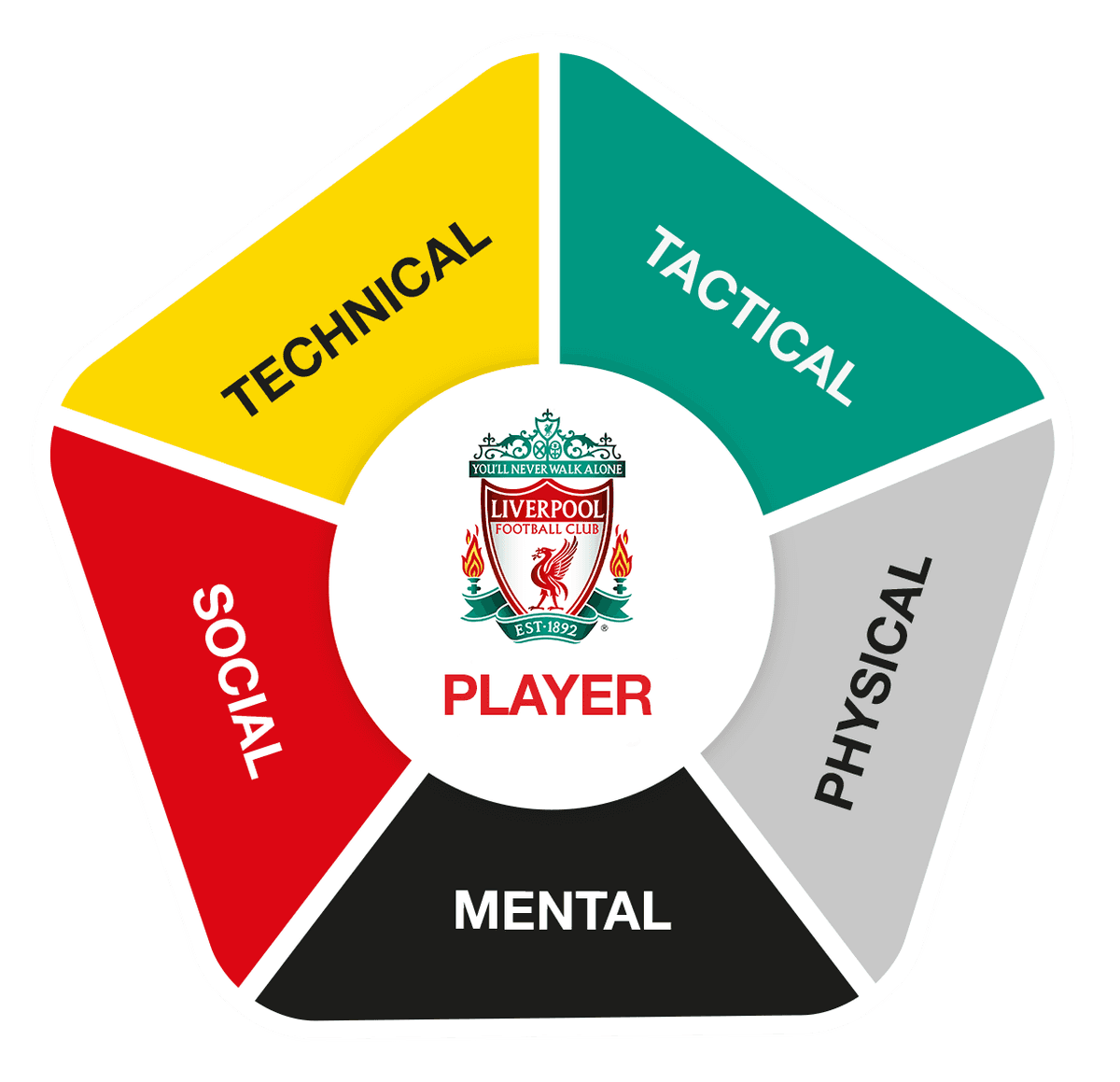 Long-term player development model